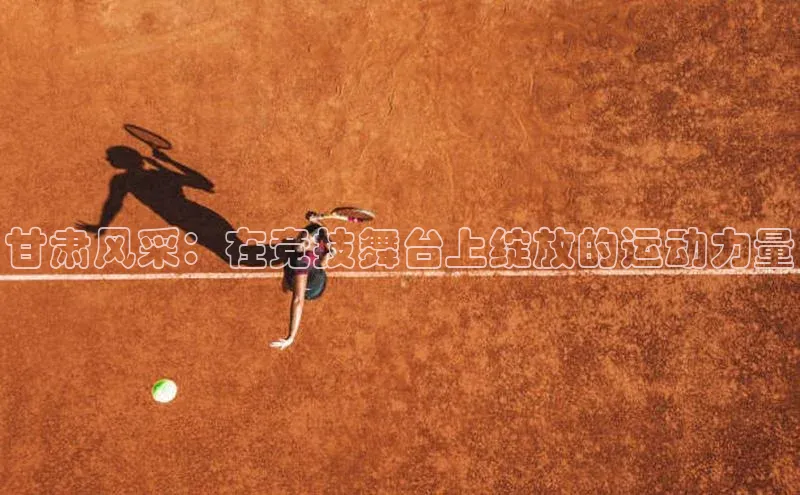 甘肃风采：在竞技舞台上绽放的运动力量